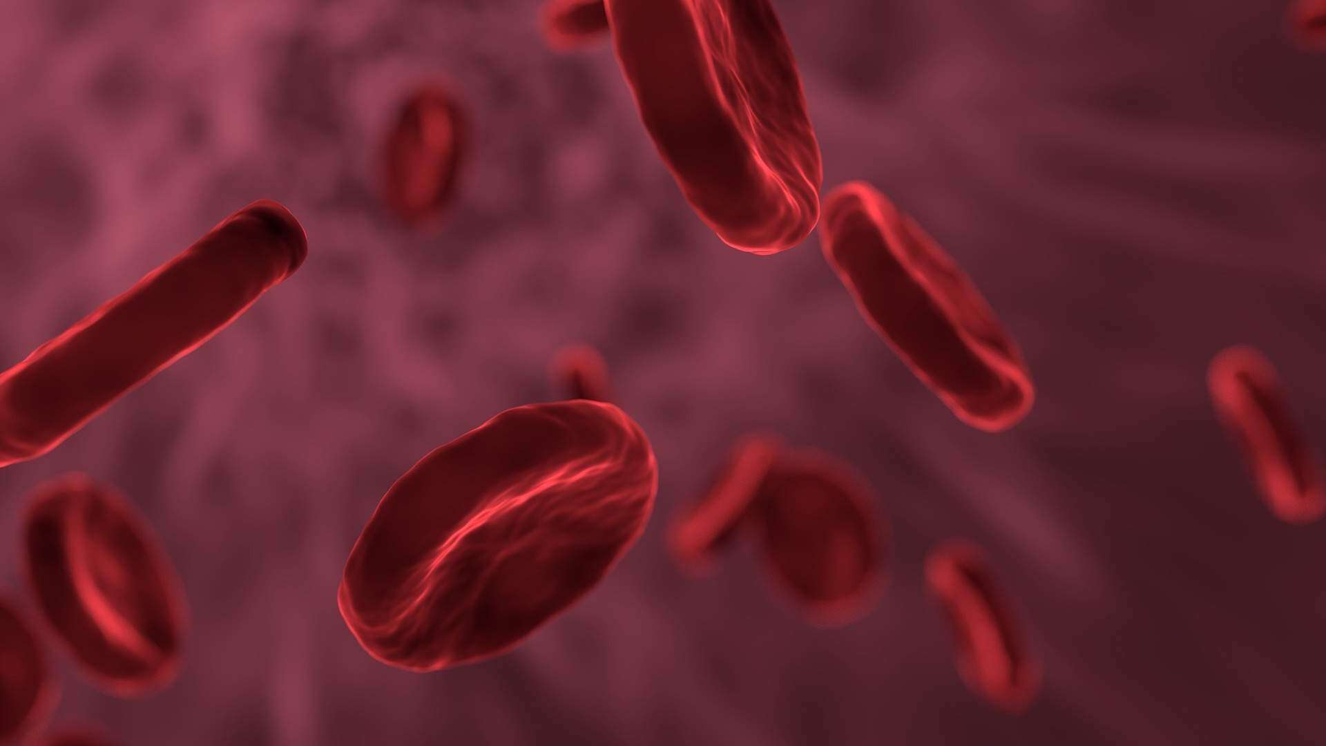 VIH y Sida, ¿con cuál nos infectamos?