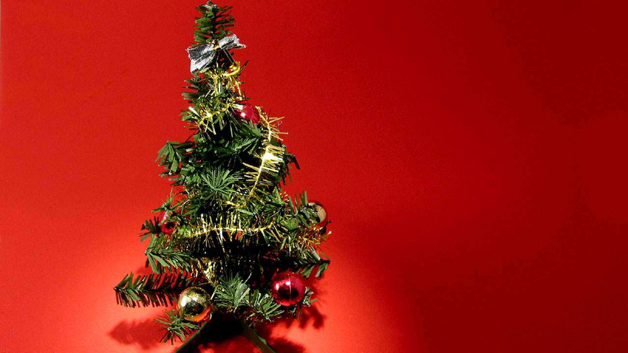 Celebrities who were Christmas babies