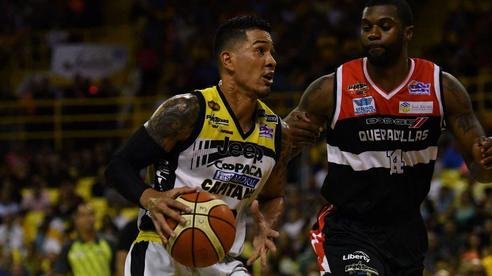 BSN confirma 8 equipos para la temporada 2019