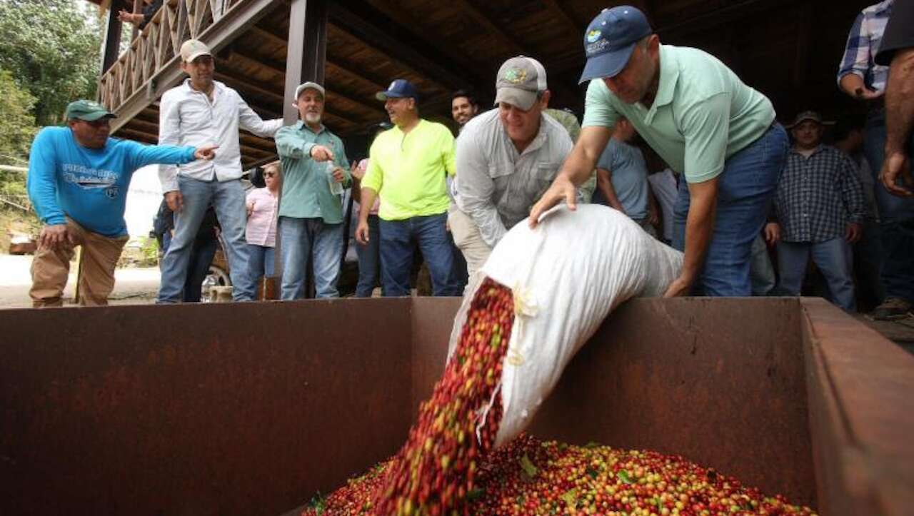 Cruz Roja lidera programa de subvenciones para el sector agrícola