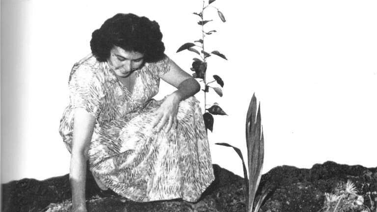 Traspasarán el parque de Doña Inés a Fundación Luis Muñoz Marín