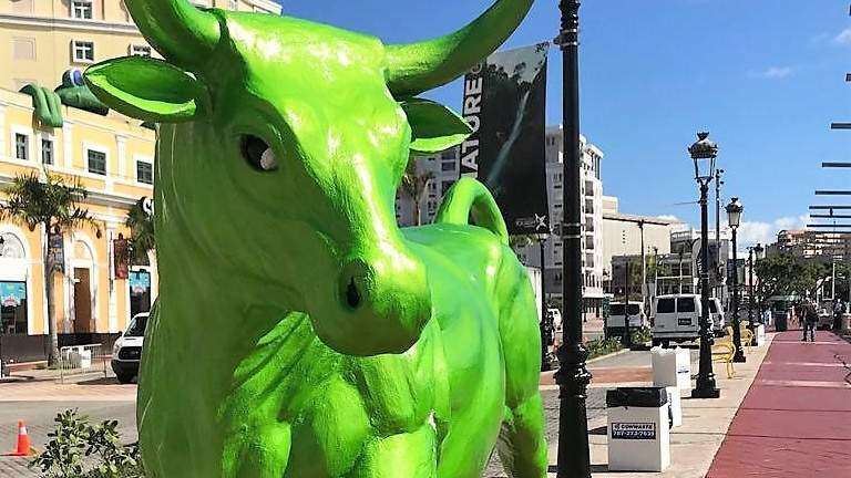 Fallon inspira a llevar Toro Verde a San Juan