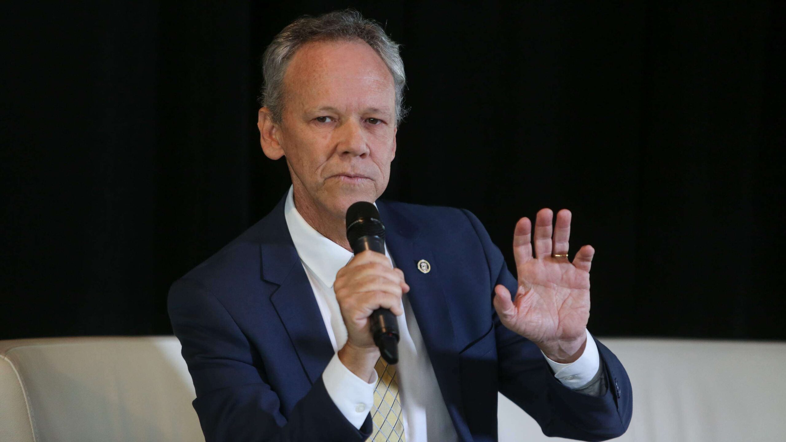 Baterías y gas natural en la estrategia inmediata de la AEE