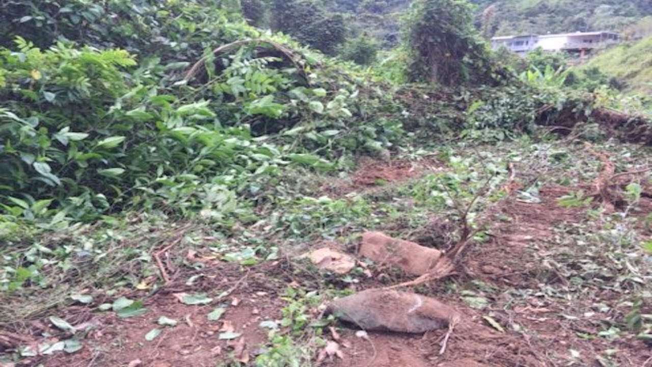 Sufre el patrimonio arqueológico en Jayuya