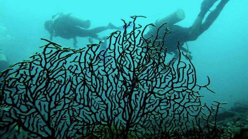 México ofrece expediciones de buceo a barcos hundidos