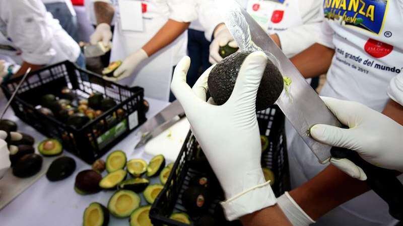 México lleva la delantera en el ‘Aguacate Bowl’