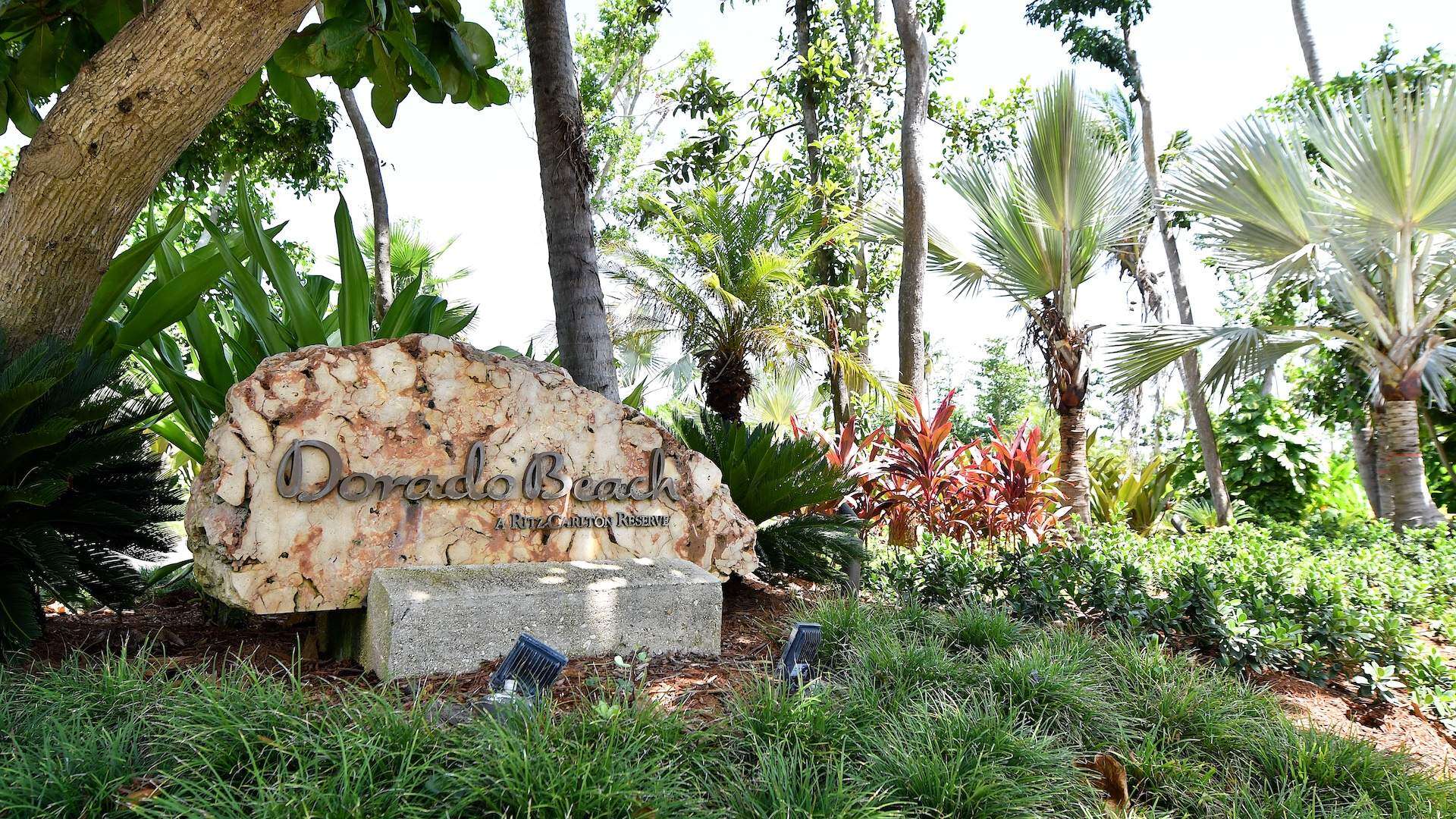 Mujer se apropia de $27 mil en cheques falsos de Dorado Beach