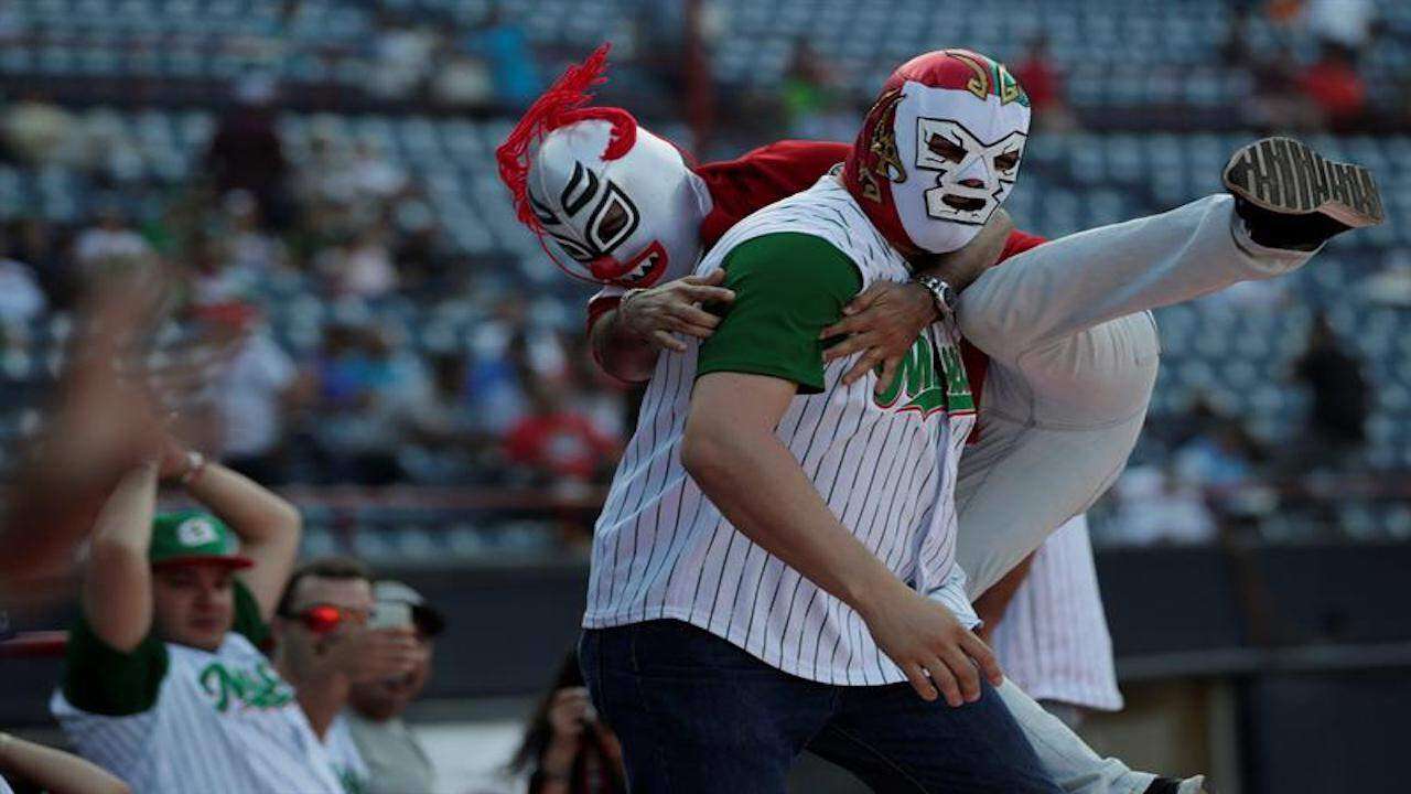 Firulais, el protagonista de la fiesta de la Serie del Caribe
