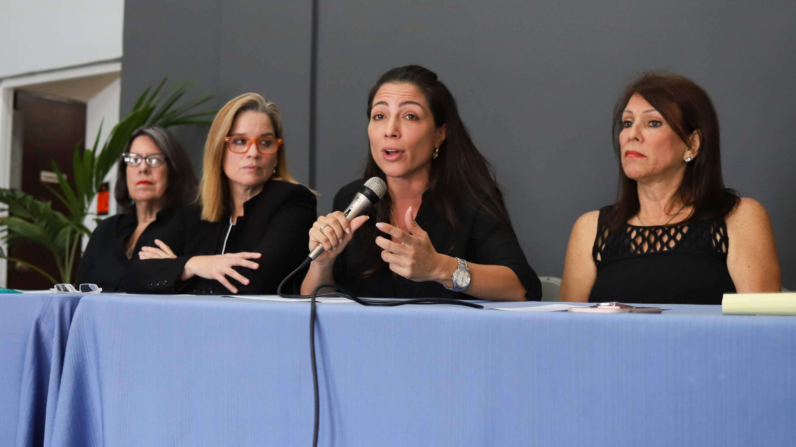 Junte de Mujeres pide audiencia en vistas federales sobre territorios