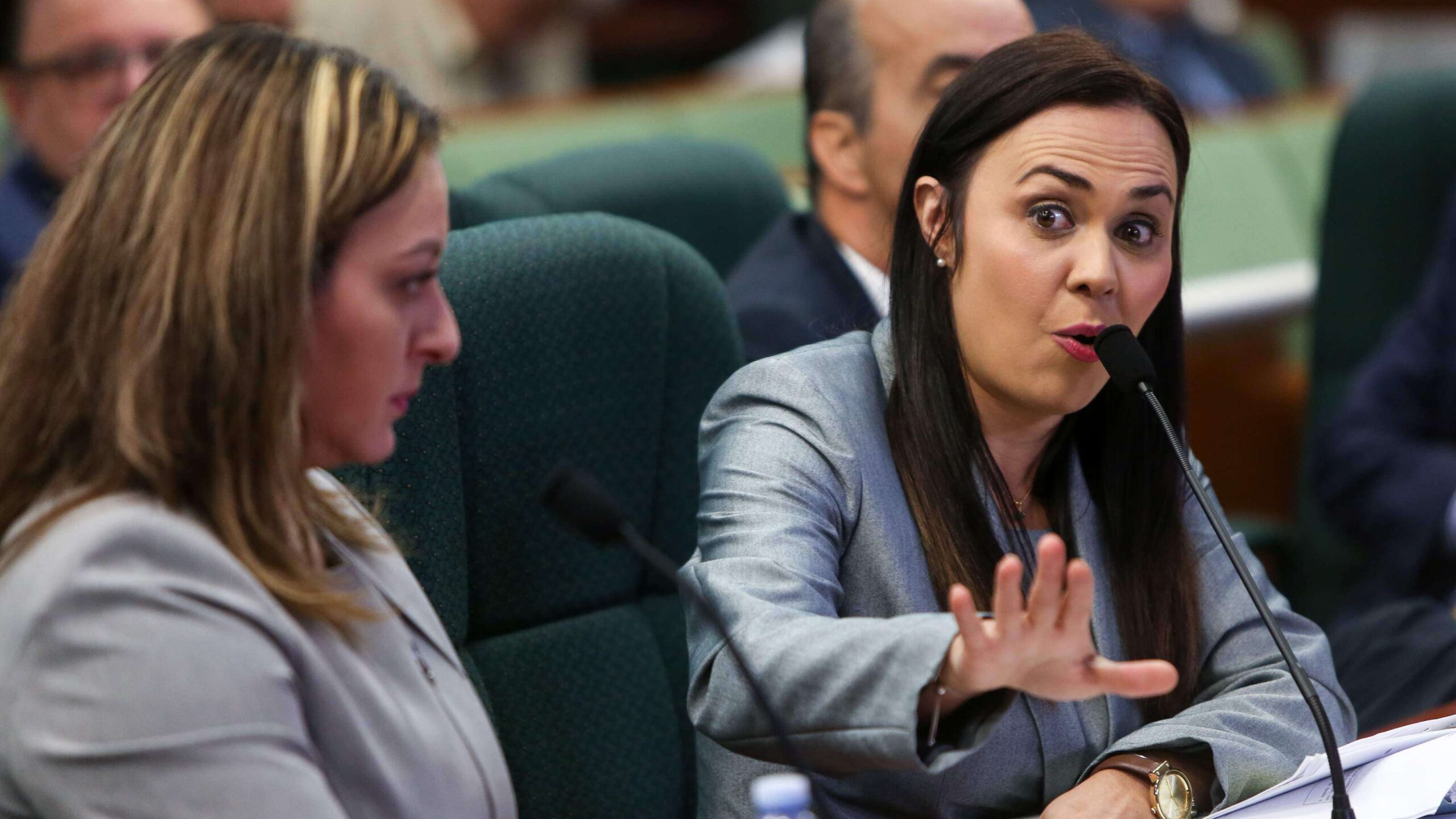 Miran con ojos positivos en la Cámara a la Inspectora General