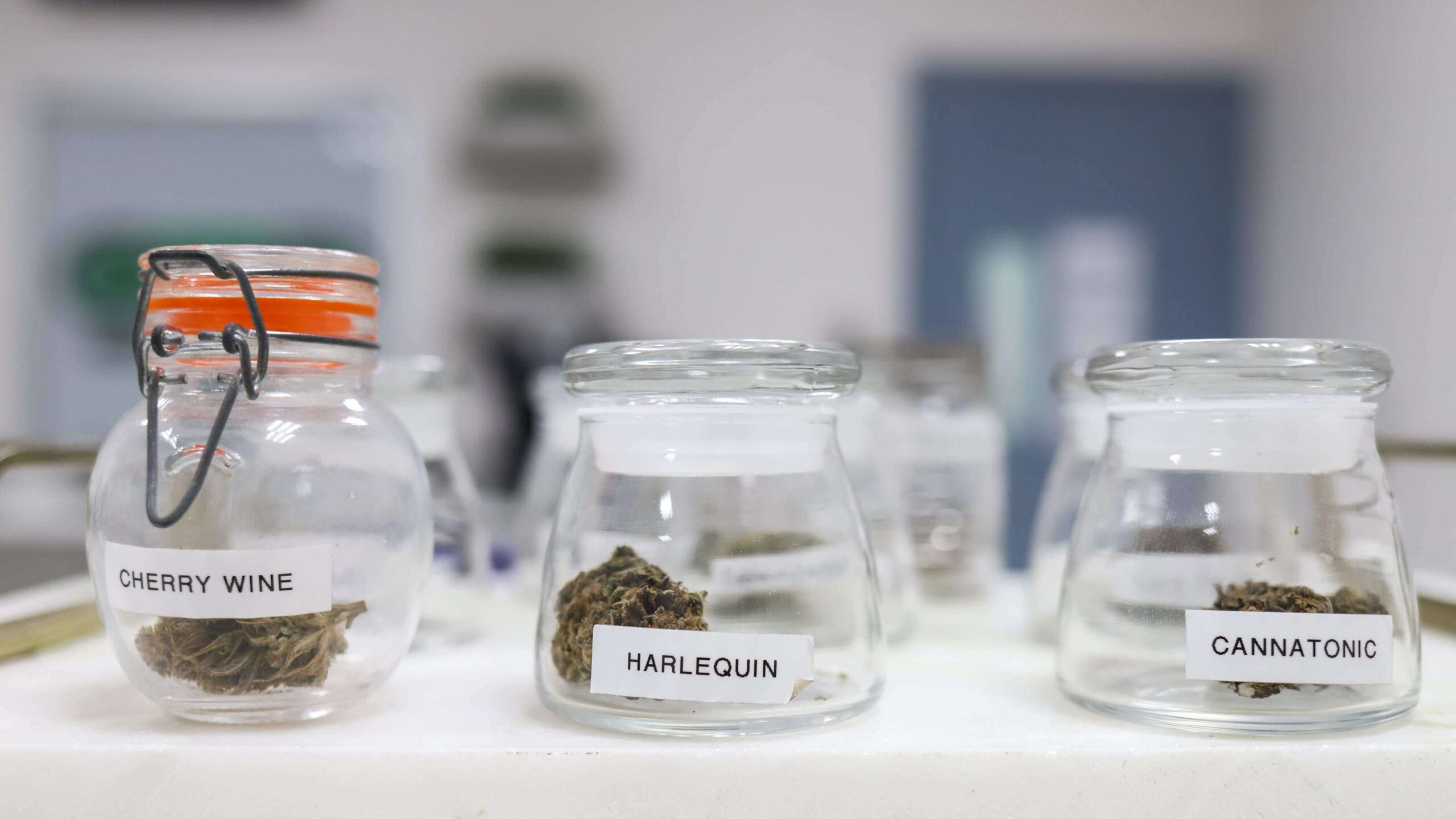 BanCoop obligado a reanudar servicios a la industria del cannabis