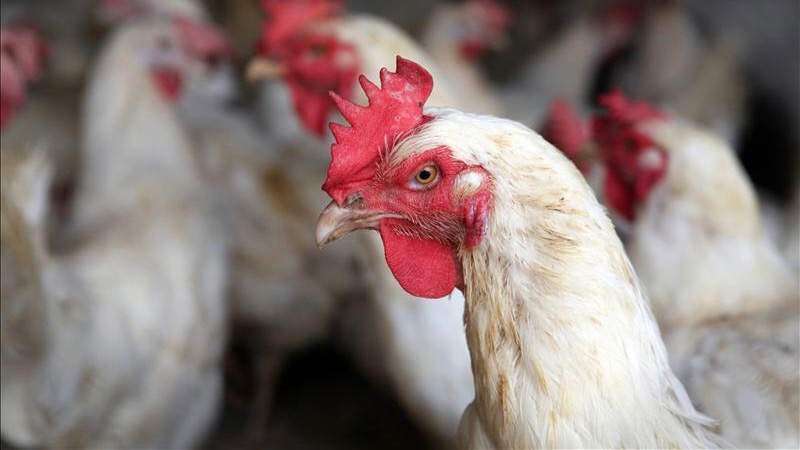 La Aguadillana admite error y corrige problema con empaque