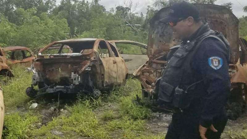 Descubren cementerio de autos robados en Vega Alta