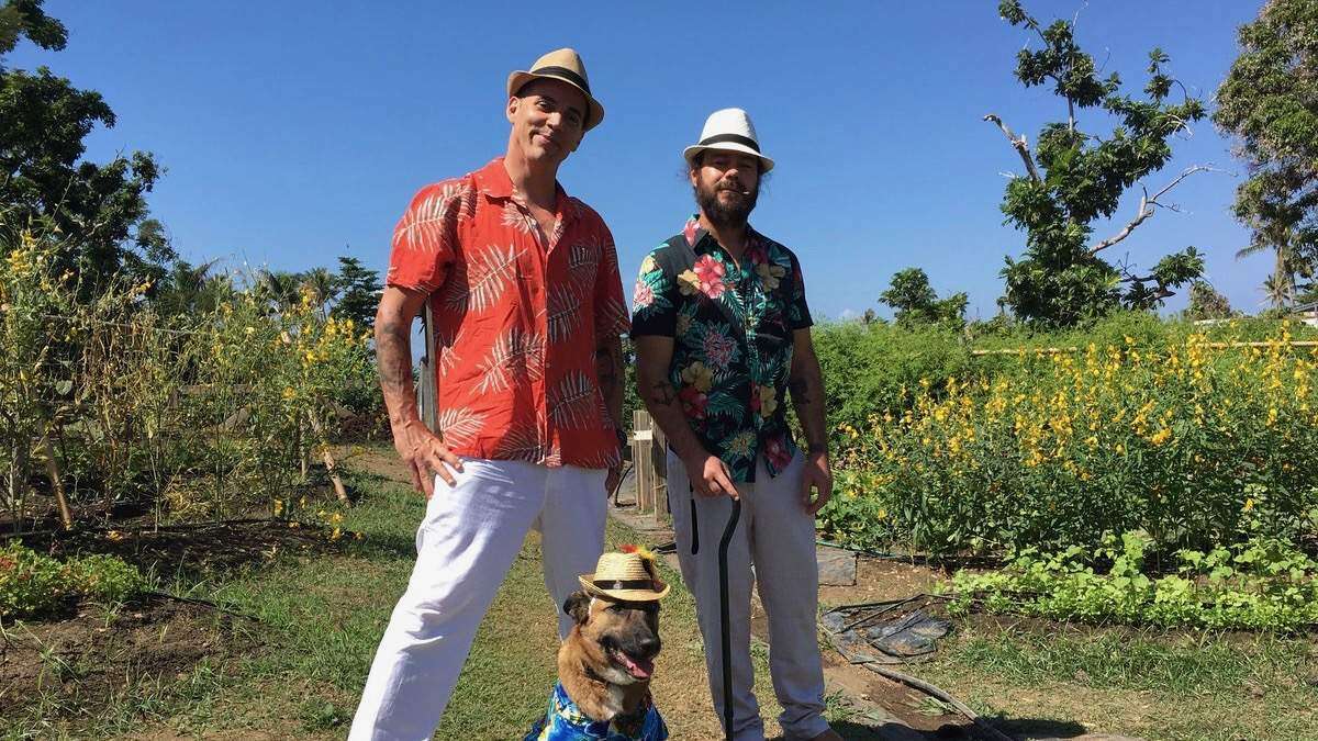 Payasadas de Steve-O en Rincón podrían costarle millones