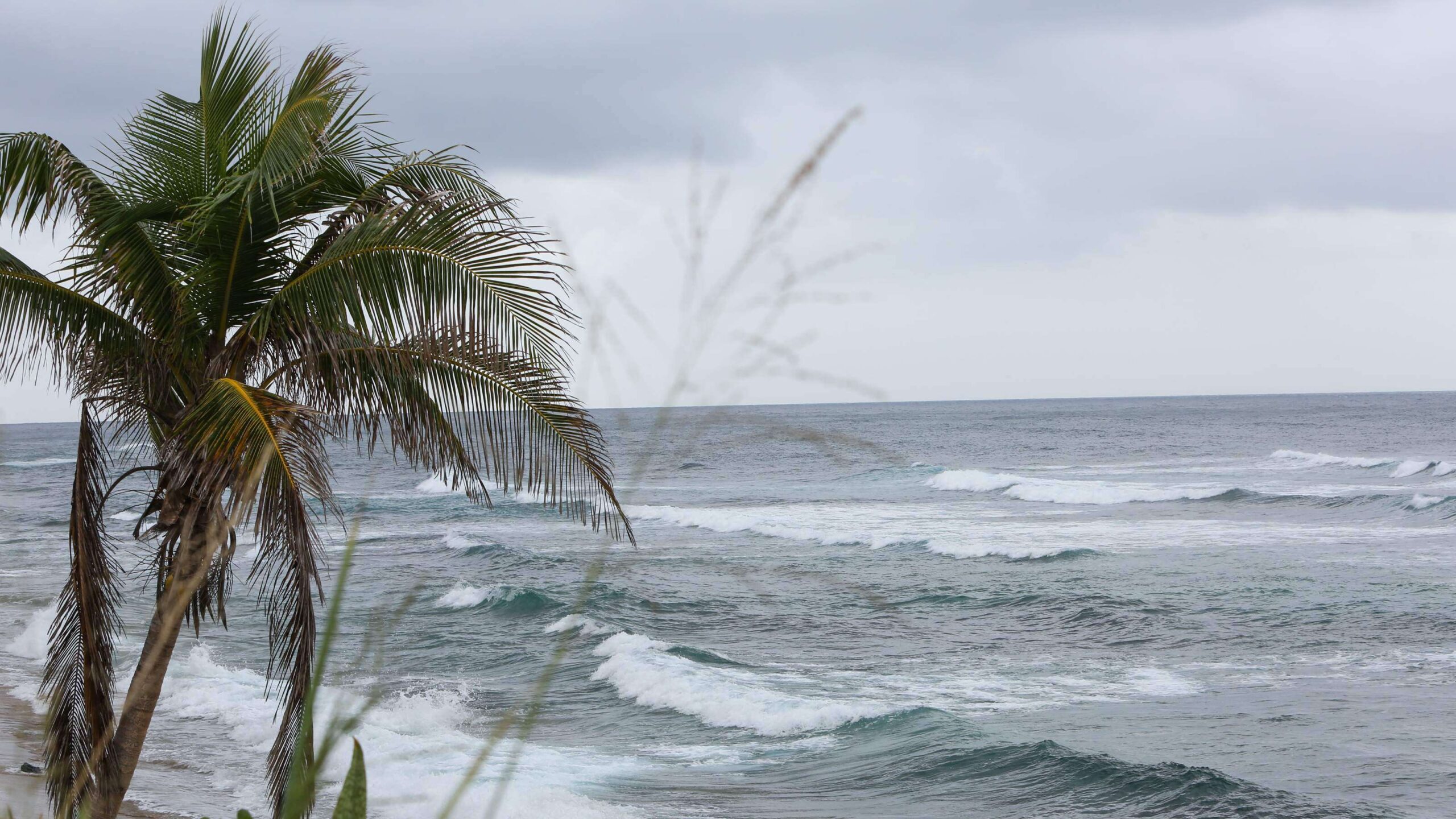 Cambio climático provoca récords de temperaturas en el mar
