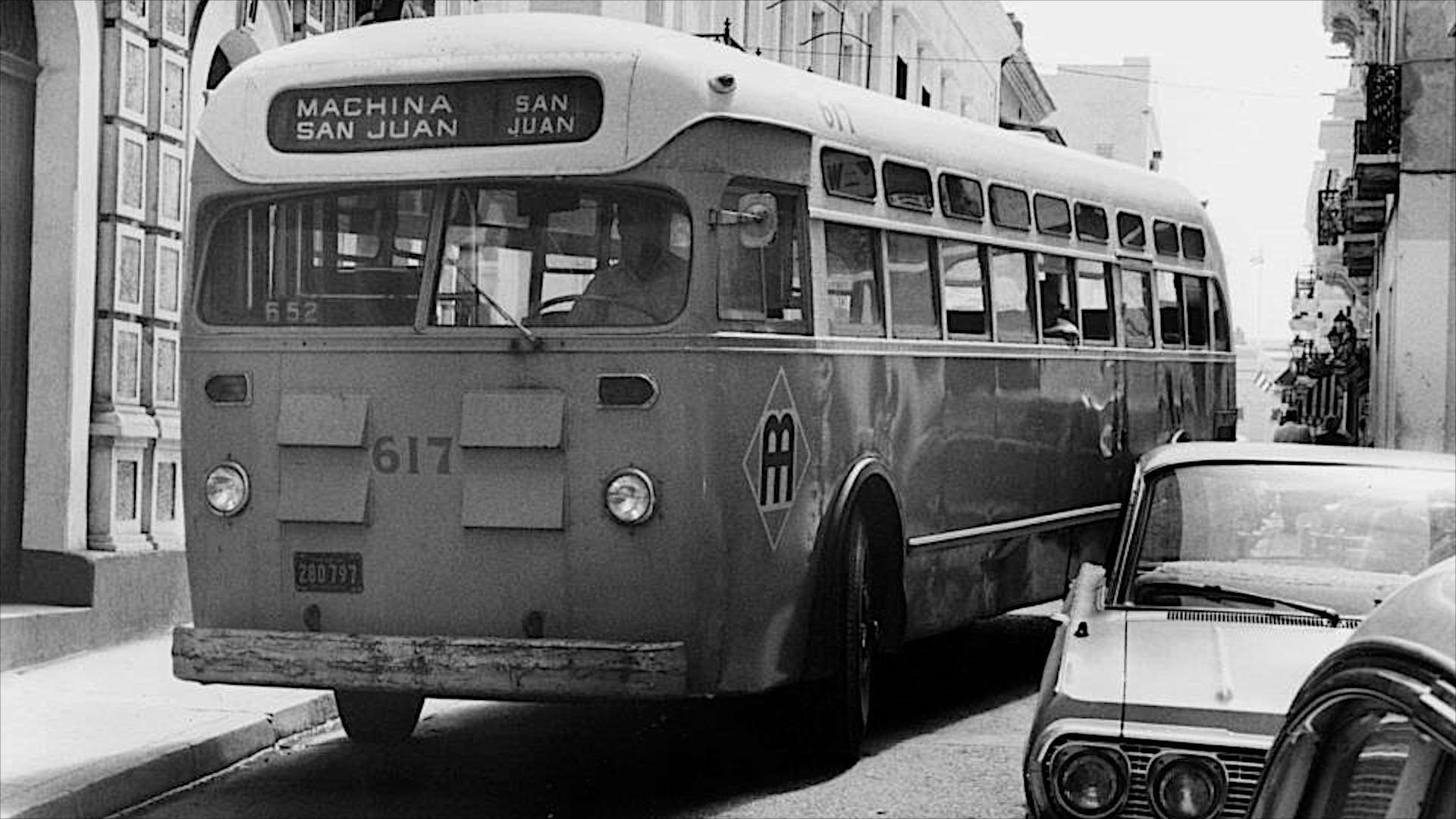 Memoria Viva: los inicios de la AMA