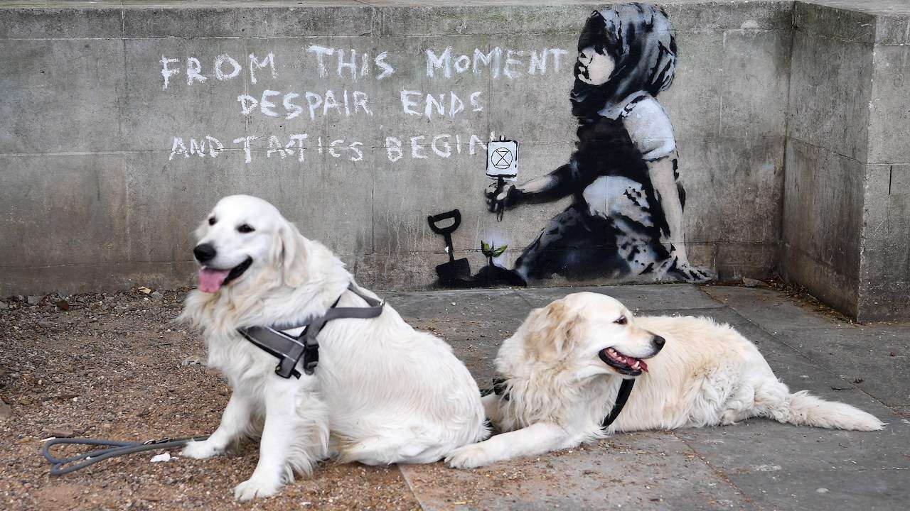Sospechan ‘nueva’ táctica de Banksy