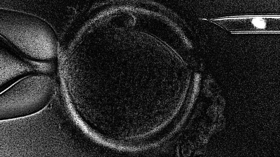 Nace primer bebé con nueva técnica de fertilización