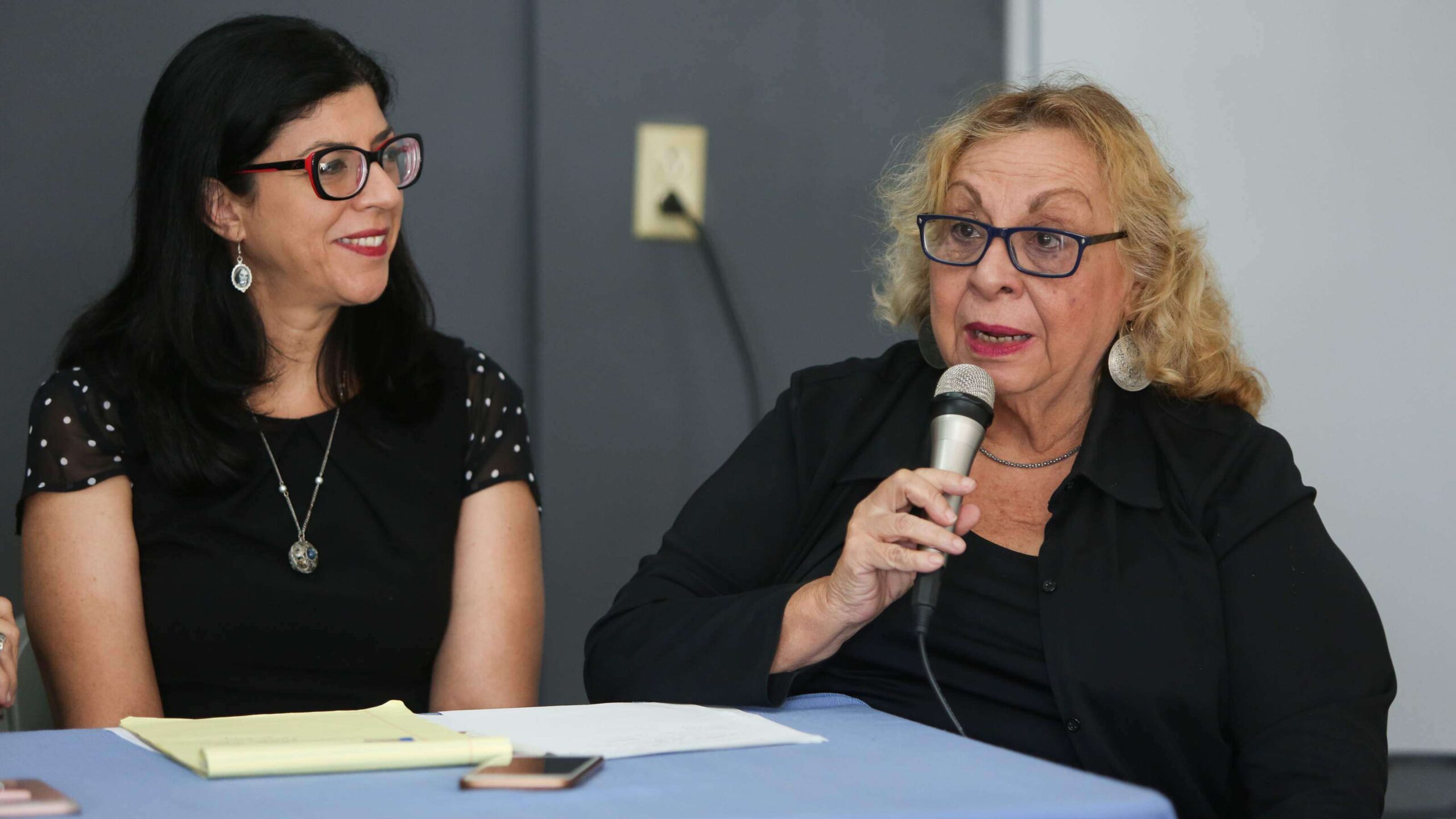 Mujeres viequenses orientarán al M-18