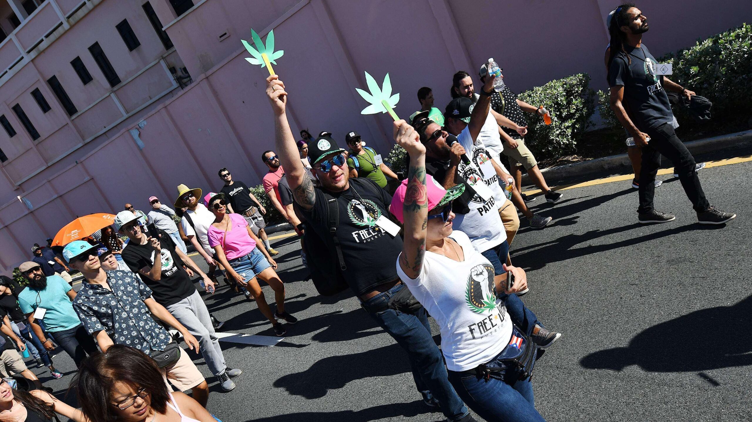 Marchan por la despenalización del cannabis