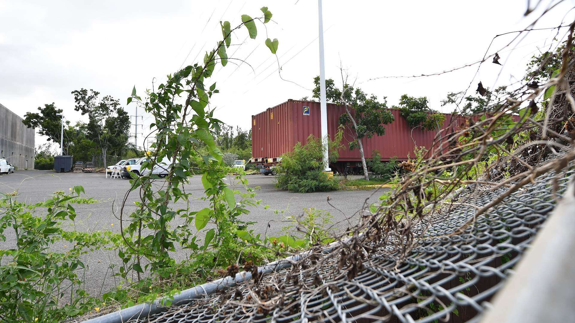 CEE liquida caso de vagones con palmaditas en la mano