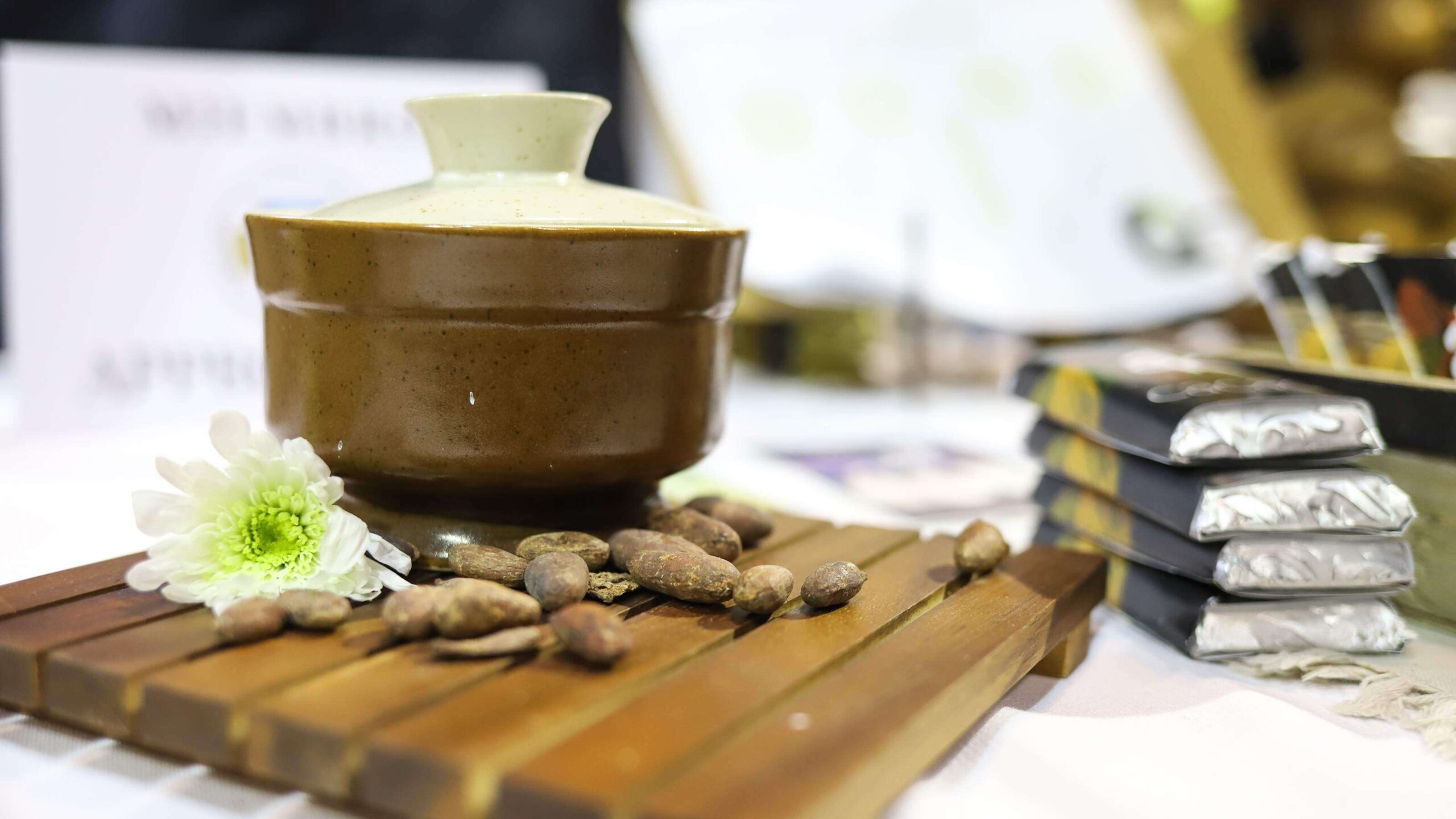 Comienza a germinar la producción del cacao en la isla