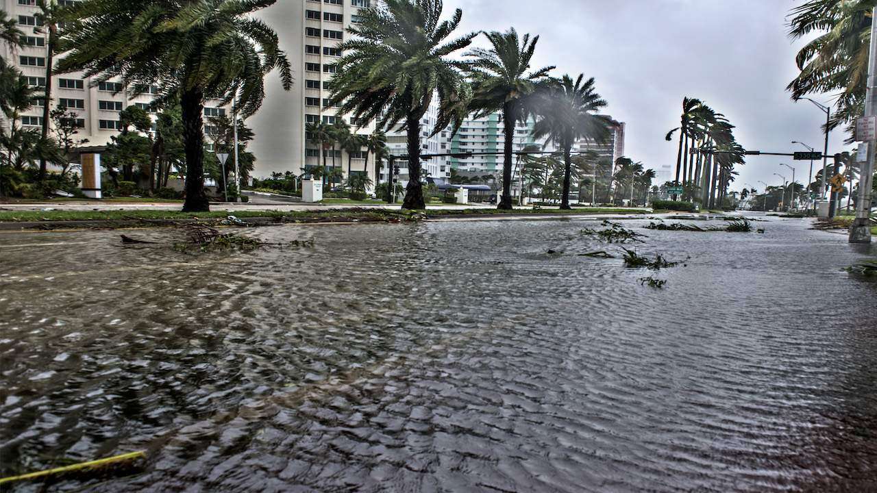 Floridanos más temerosos de los huracanes pero no se preparan