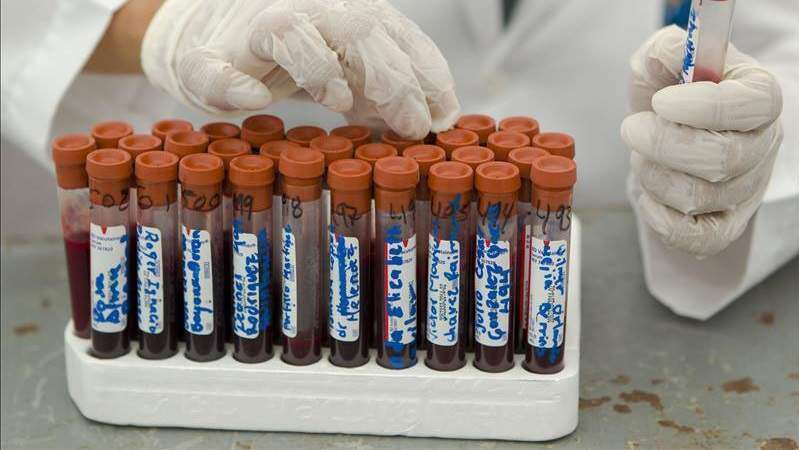 Dan con partícula para revertir efectos de sobredosis de cocaína