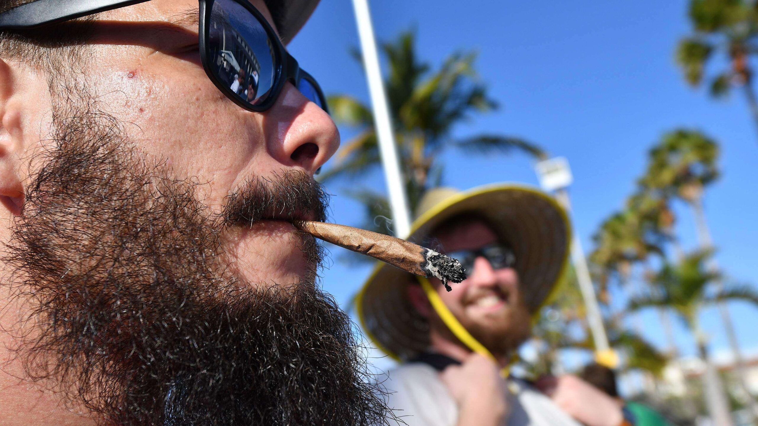 Capital federal propone legalizar marihuana recreativa