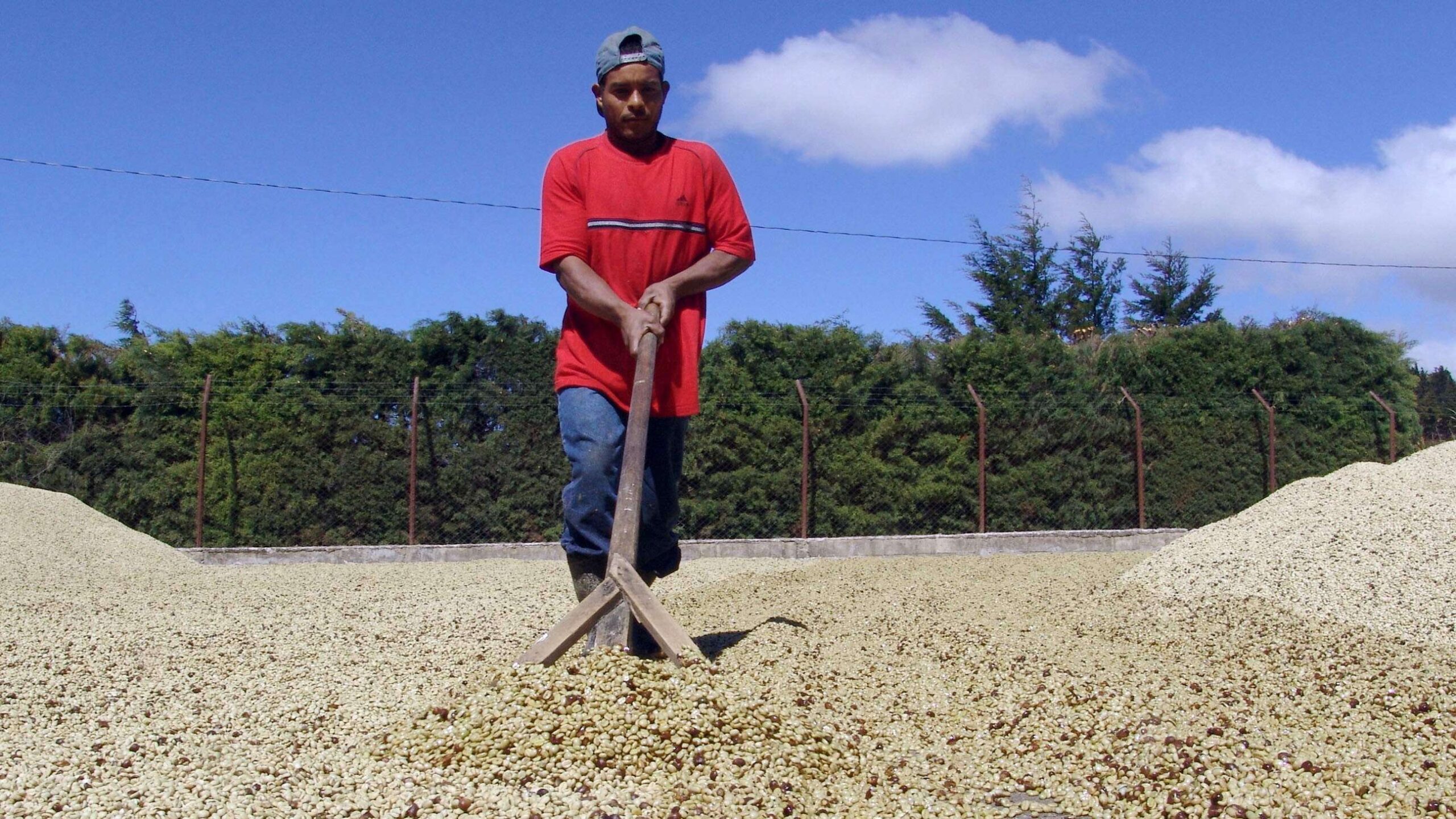 Cambio climático también afecta a los obreros