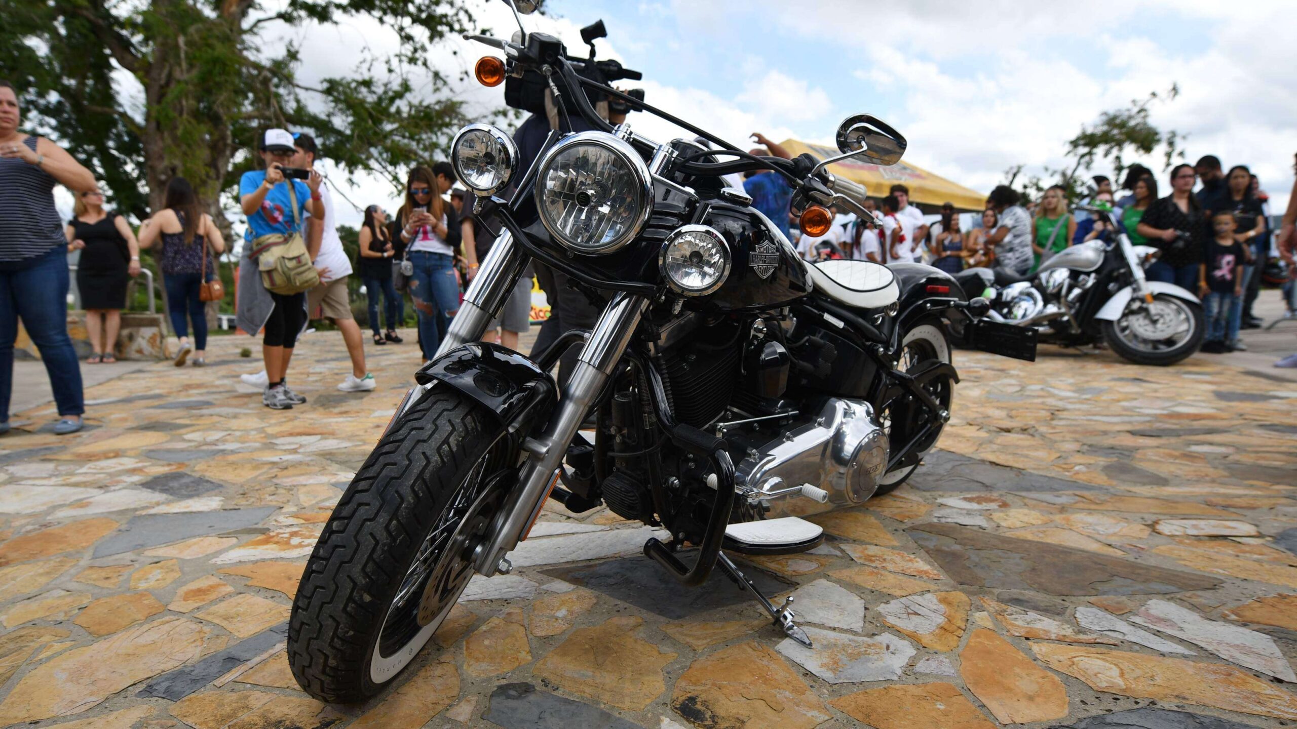 Motociclistas podrán obtener permisos el domingo en Arecibo