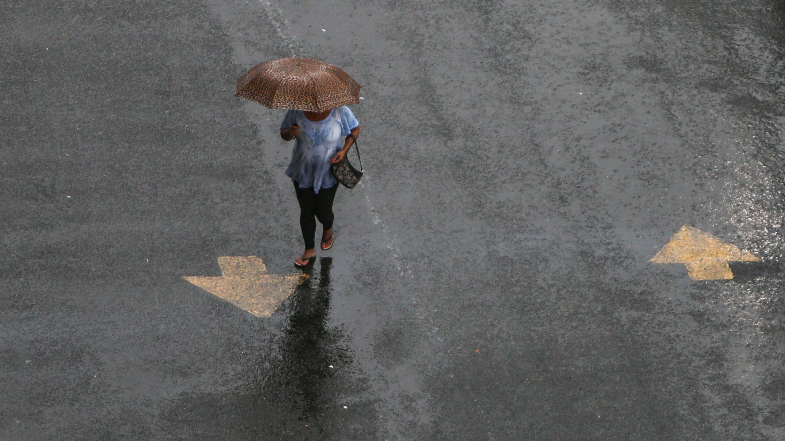 Lluvias dejan derrumbes e inundaciones en zonas de P.R