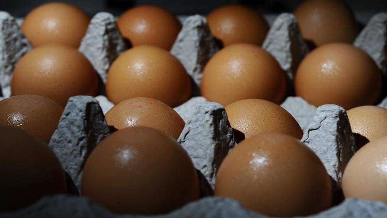 Baratillo de huevos extranjeros desplaza el huevo fresco del país