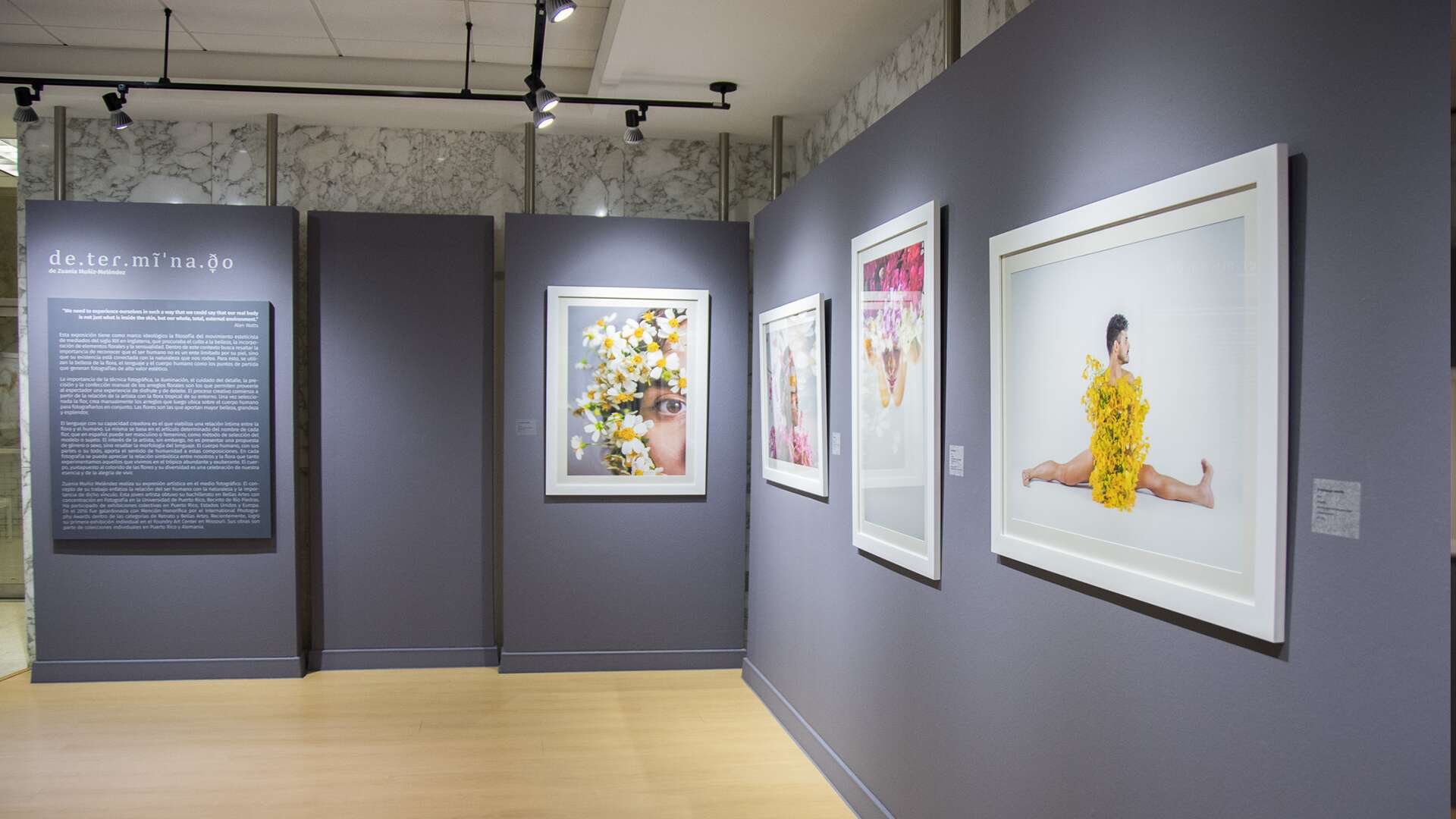 La exposición Florece SalaFAR de Zuania Muñiz Meléndez