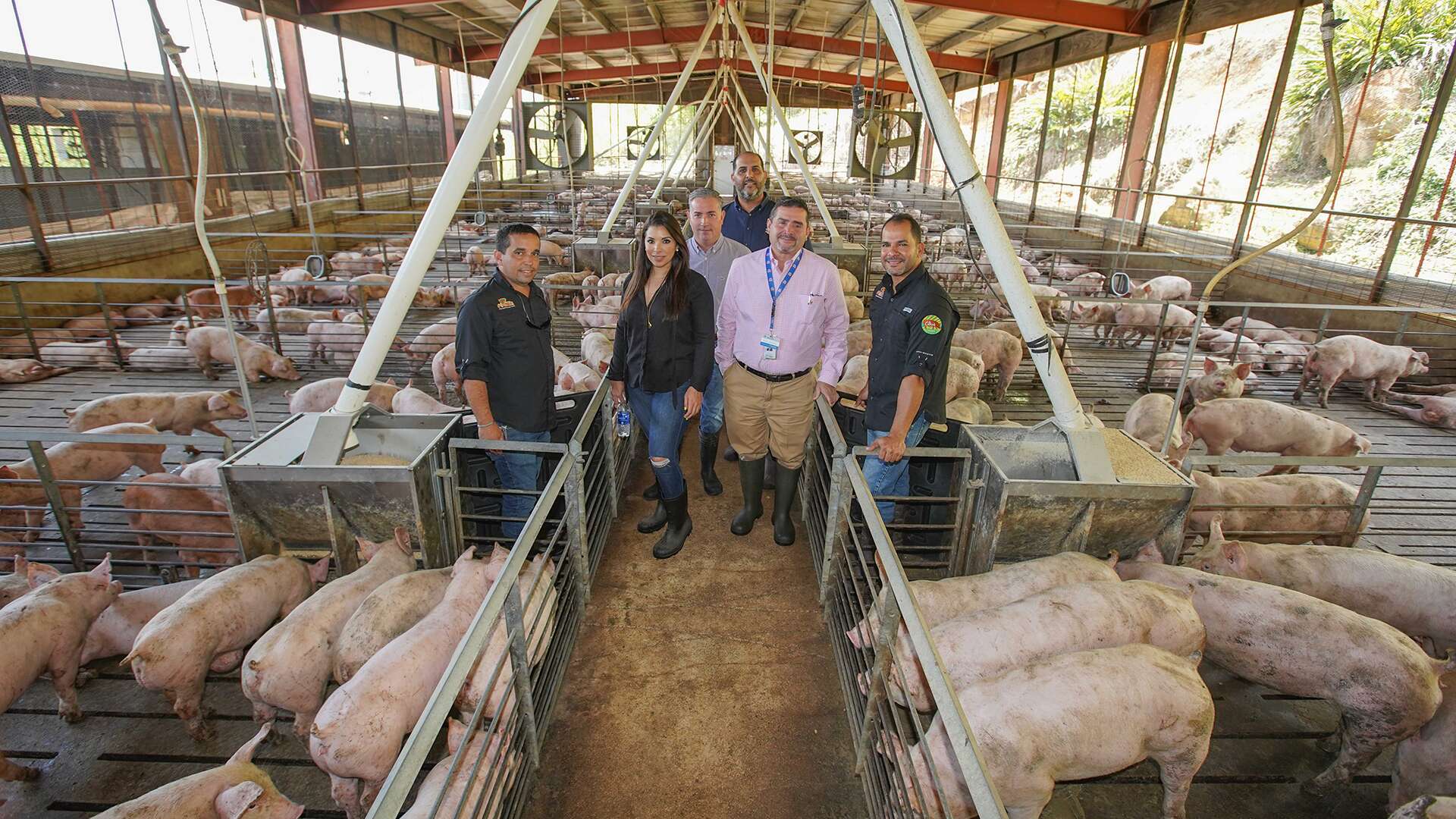 Walmart ofrece carne de cerdo local todo el año