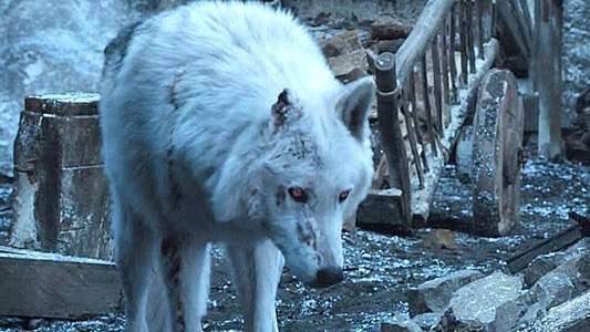 La razón por la que Jon Snow no se despidió de su lobo