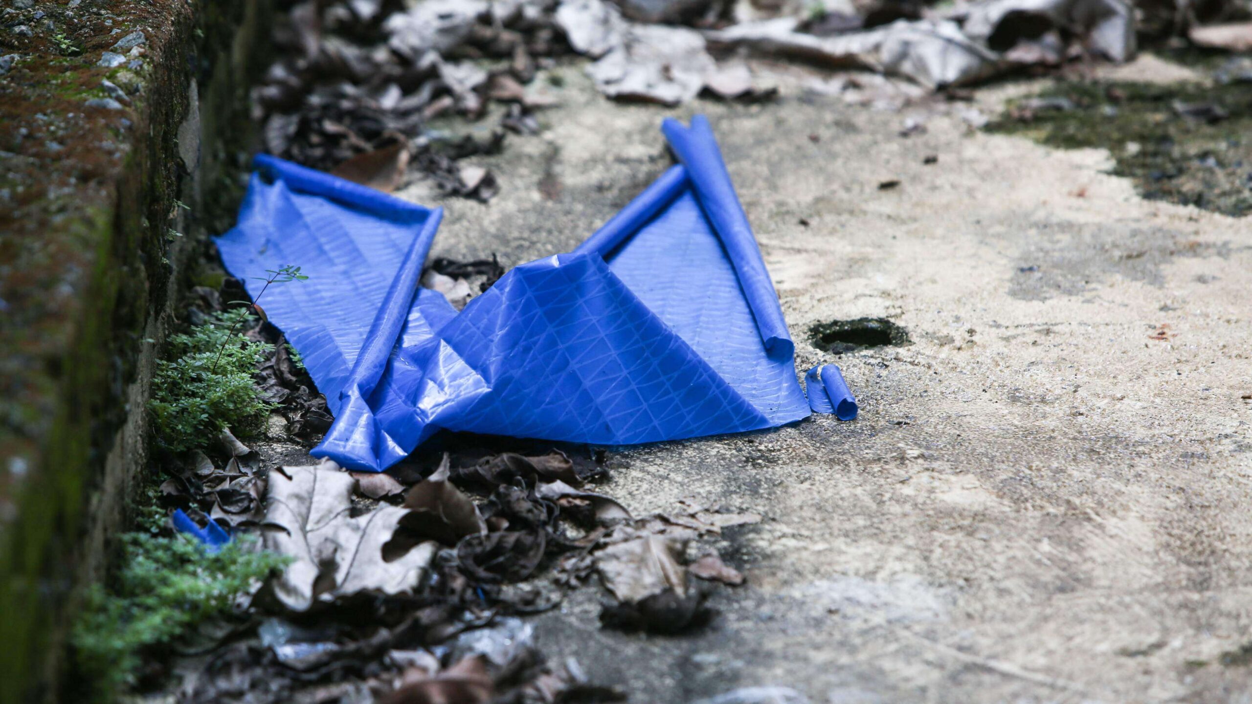 Todavía quedan familias con toldos azules en sus techos