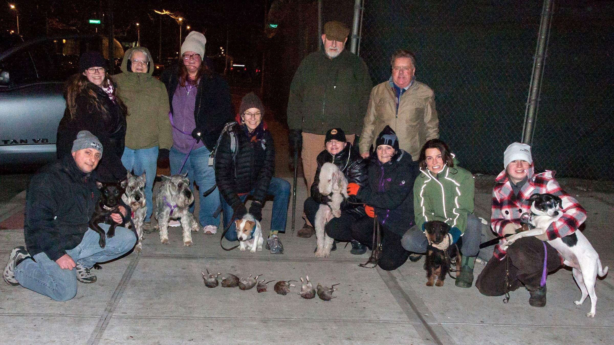 Cazadores de ratas en Nueva York salen al rescate