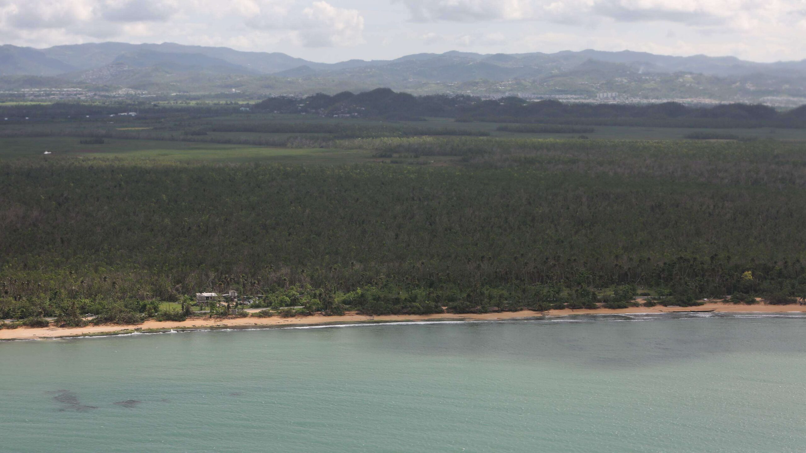 Tercer día corrido de altos niveles de esporas y polvo de África