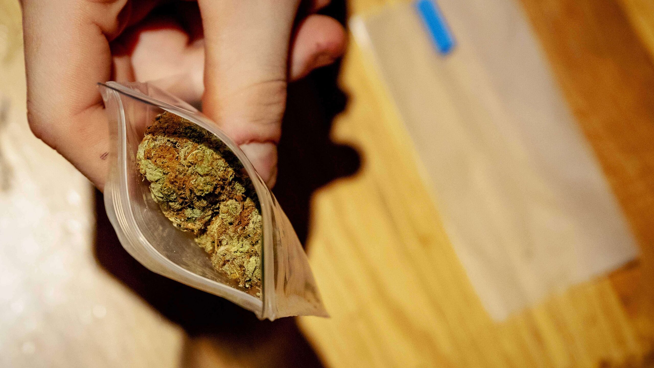 Poseer pequeñas cantidades de marihuana ya no será delito en NY