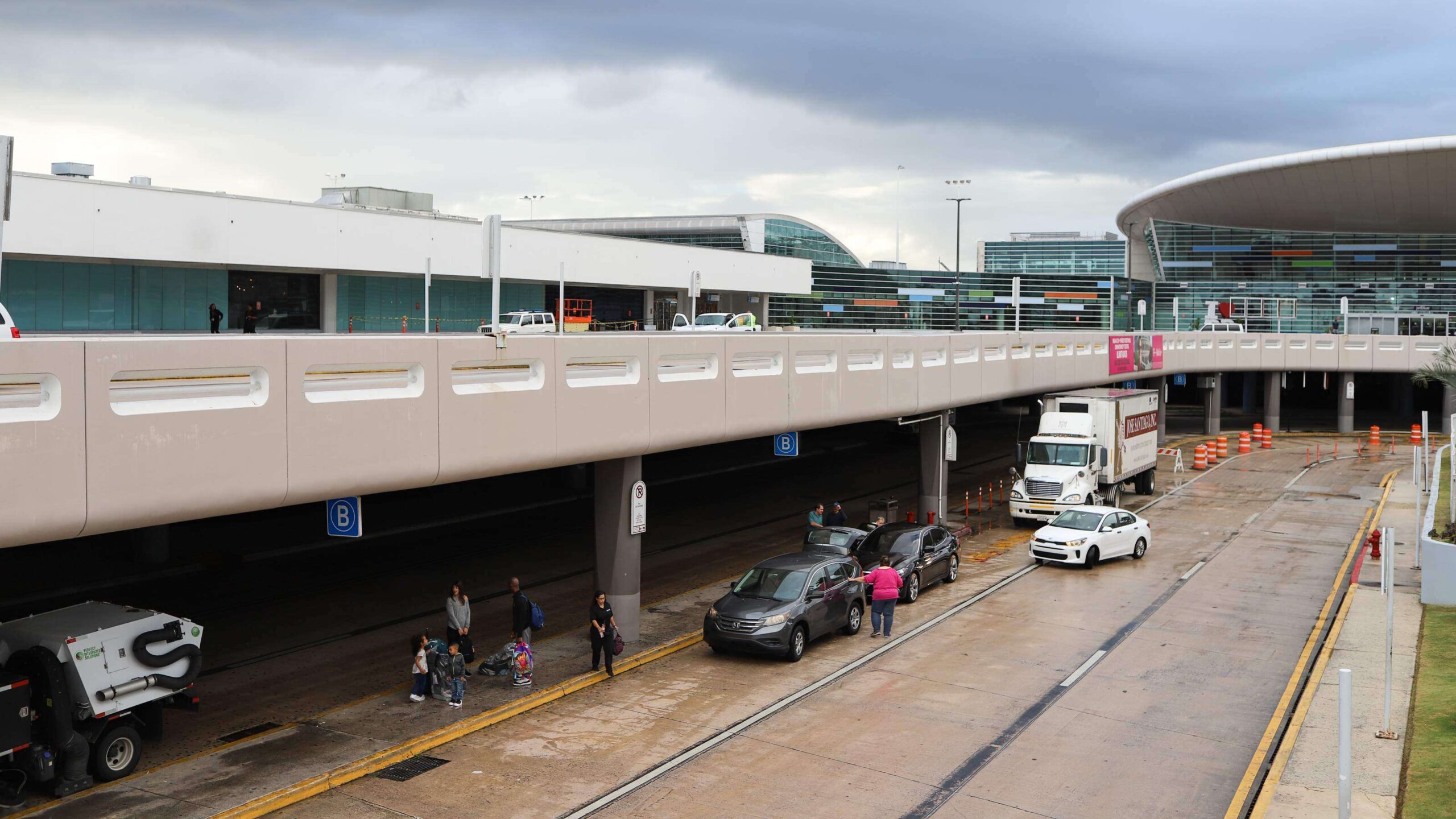 Pasajeros de España traían más de 30 aves en su maleta