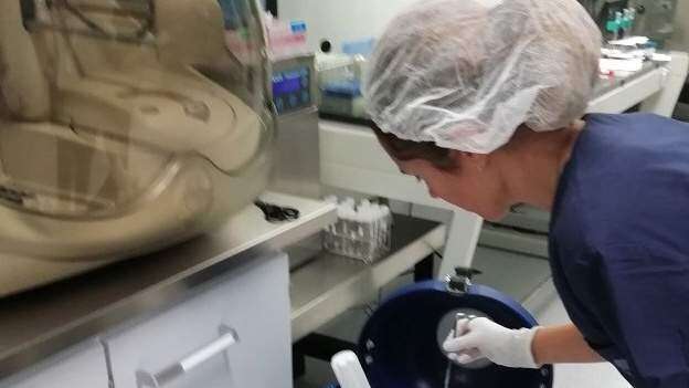 Semen congelado podría reproducir la especie humana fuera de Tierra