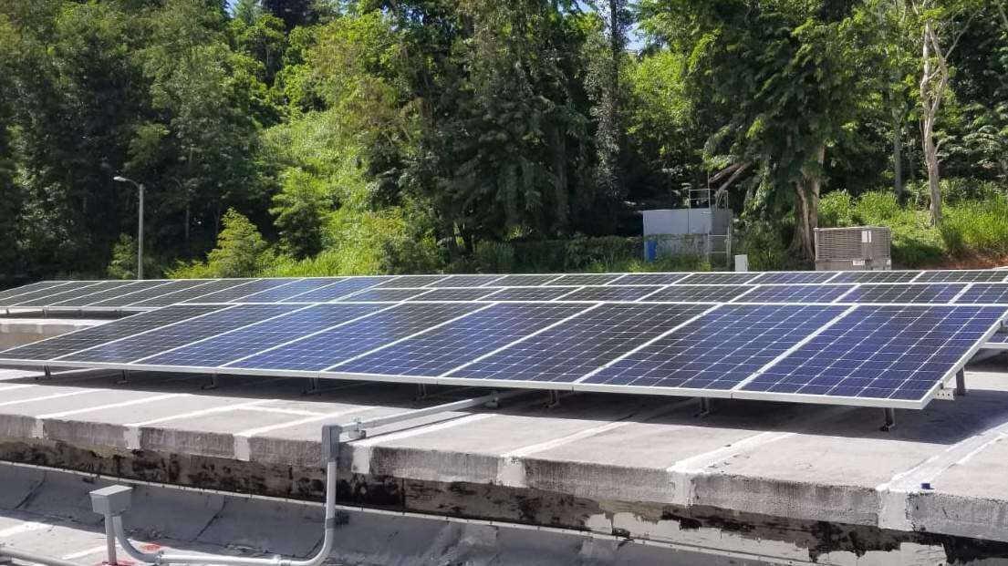 Arrestan a jefe de compañía solar por sobornos