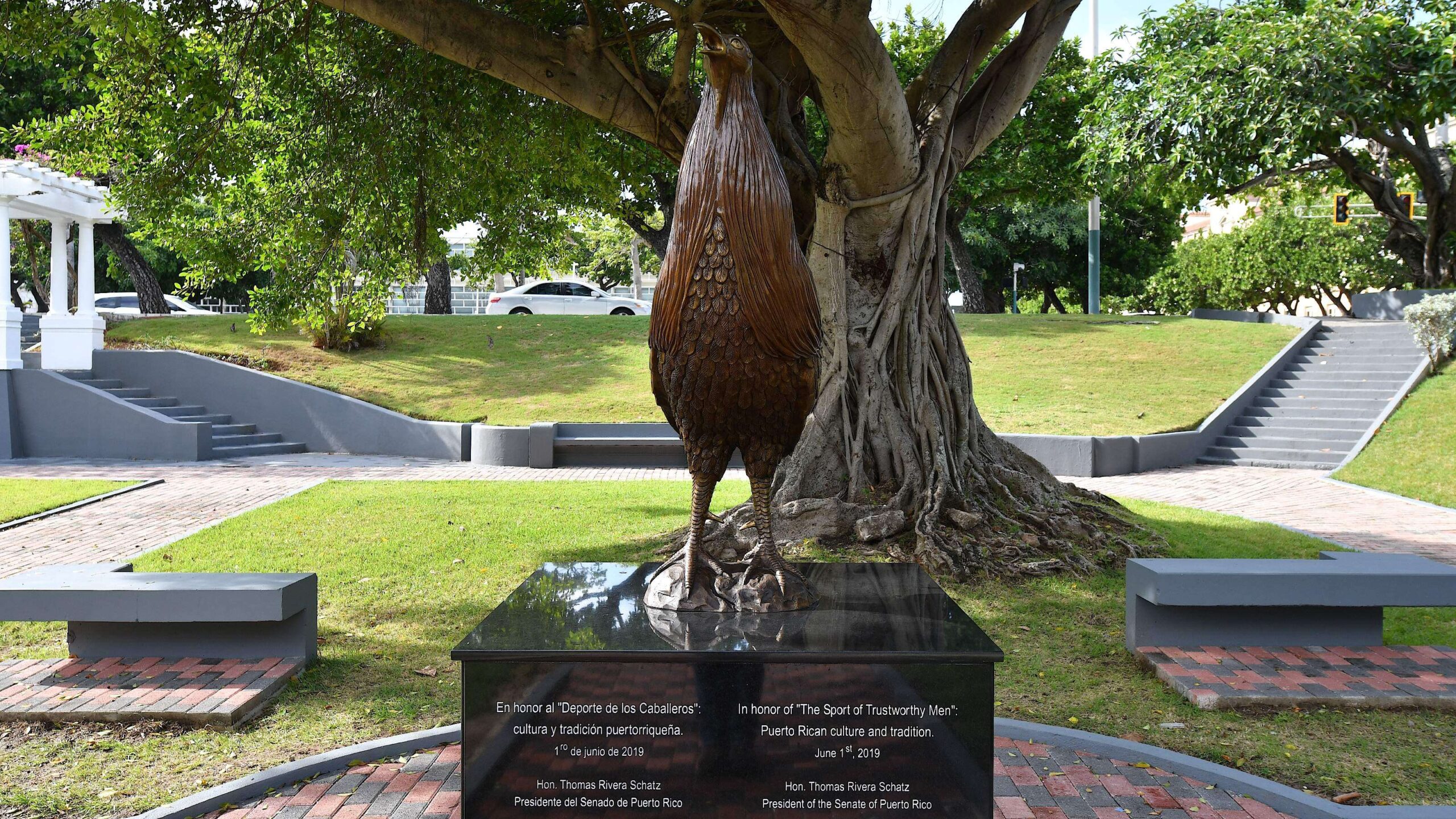Un gallo muy costoso aparece en el Capitolio