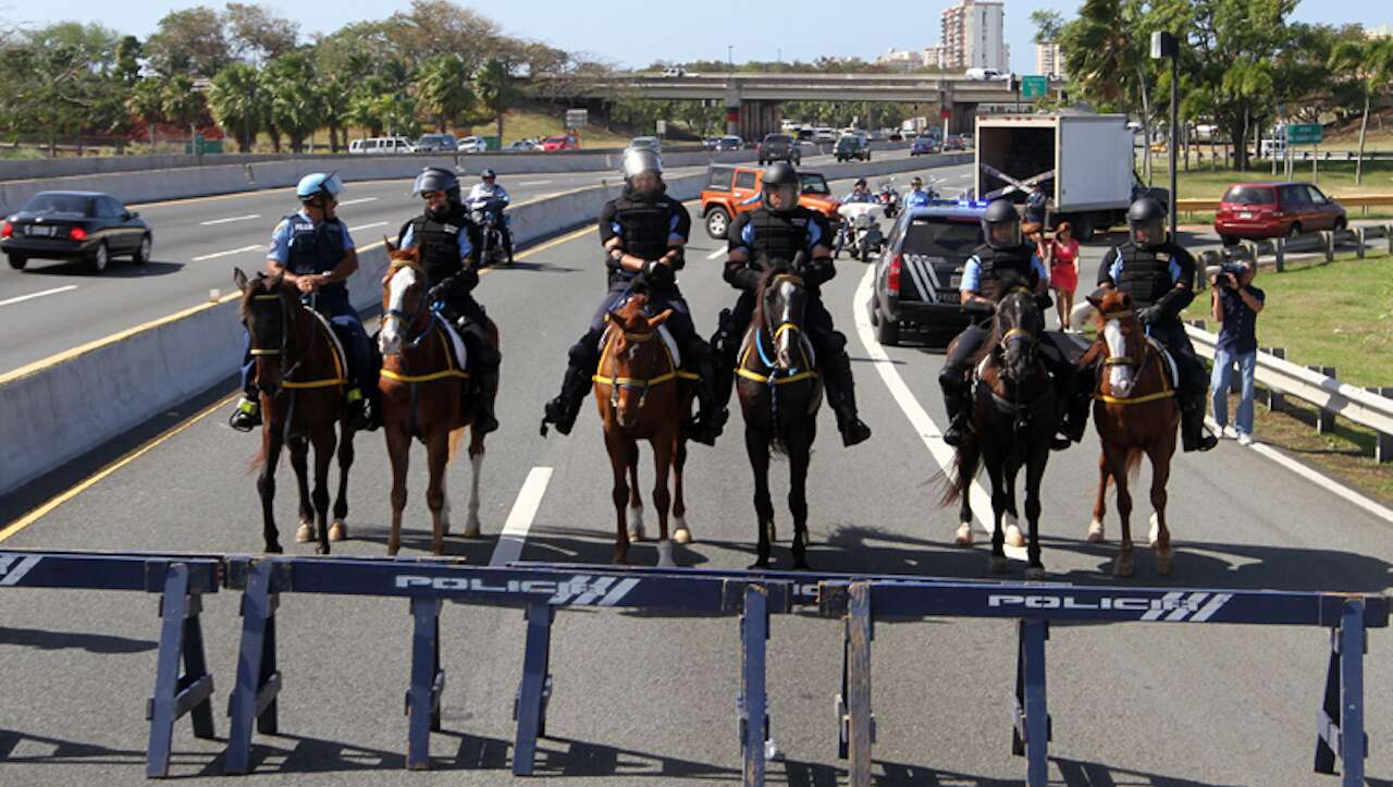 ‘Los chicos’ de Fortaleza sin amor por los animales en Telegram