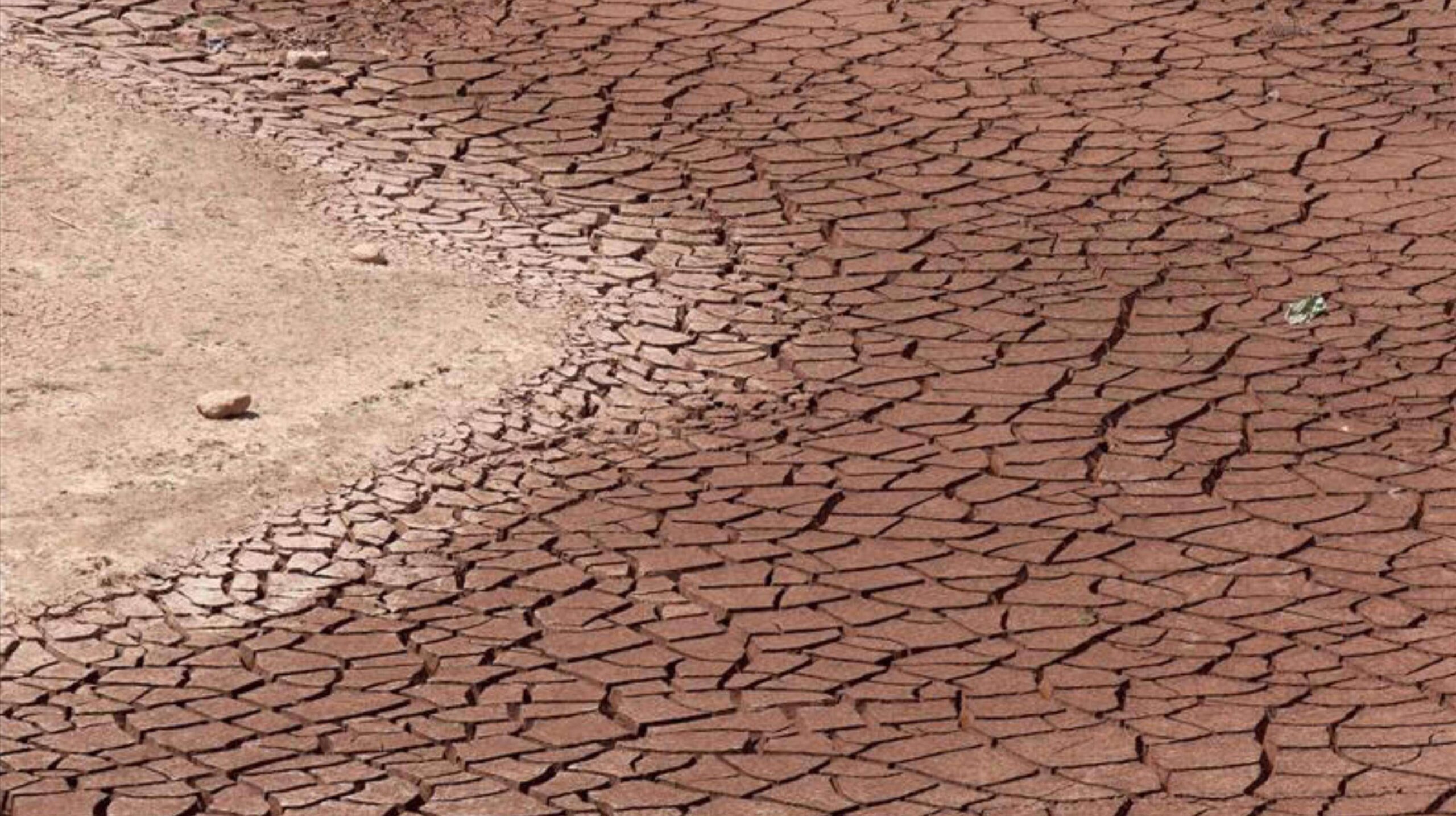 Arde el mundo ante excesivas olas de calor