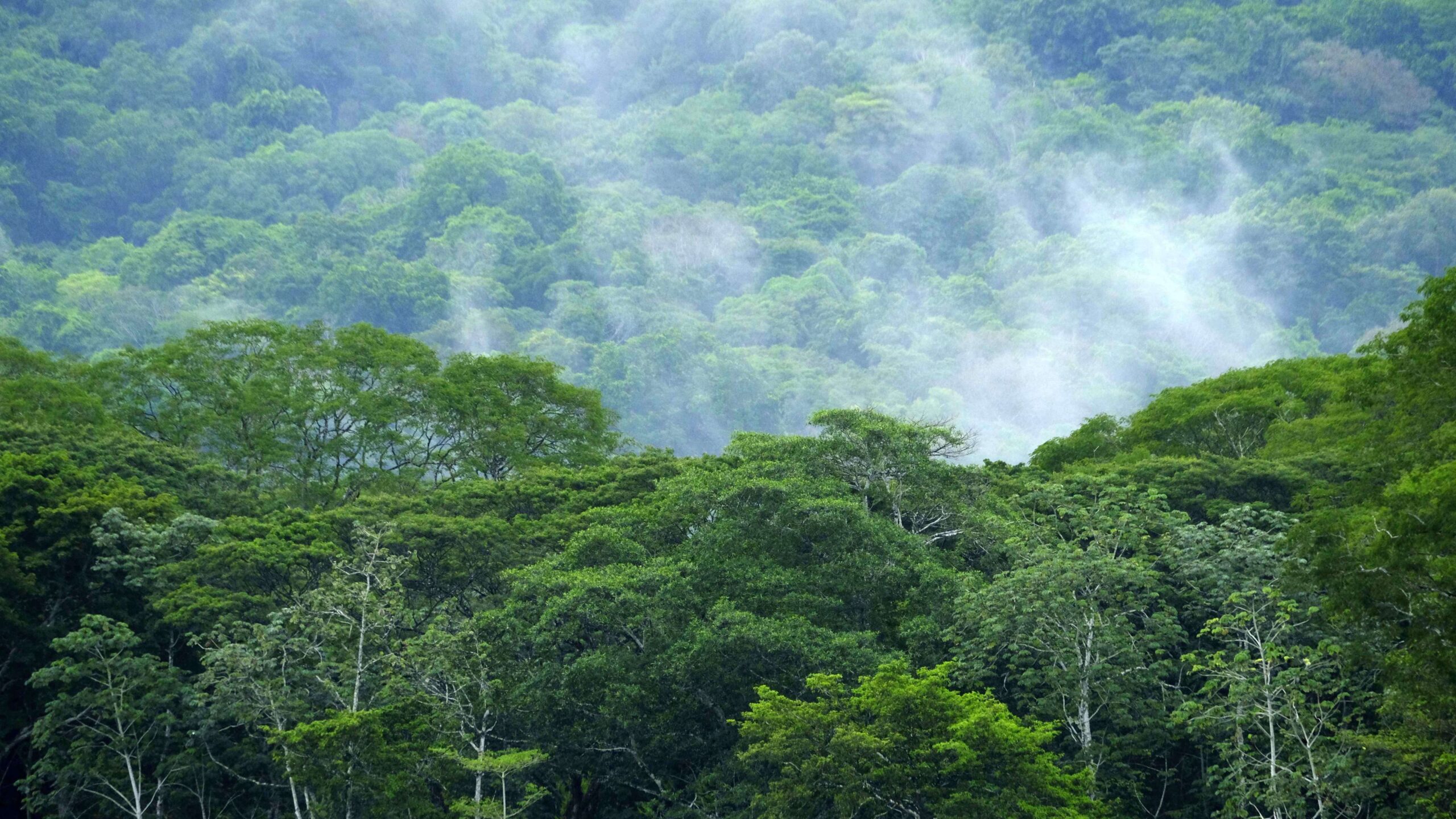 El planeta se ‘devora’ más rápido de lo que se puede recuperar