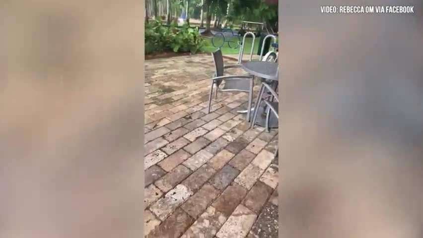 Pedro Rosselló asegura que su hijo no se va