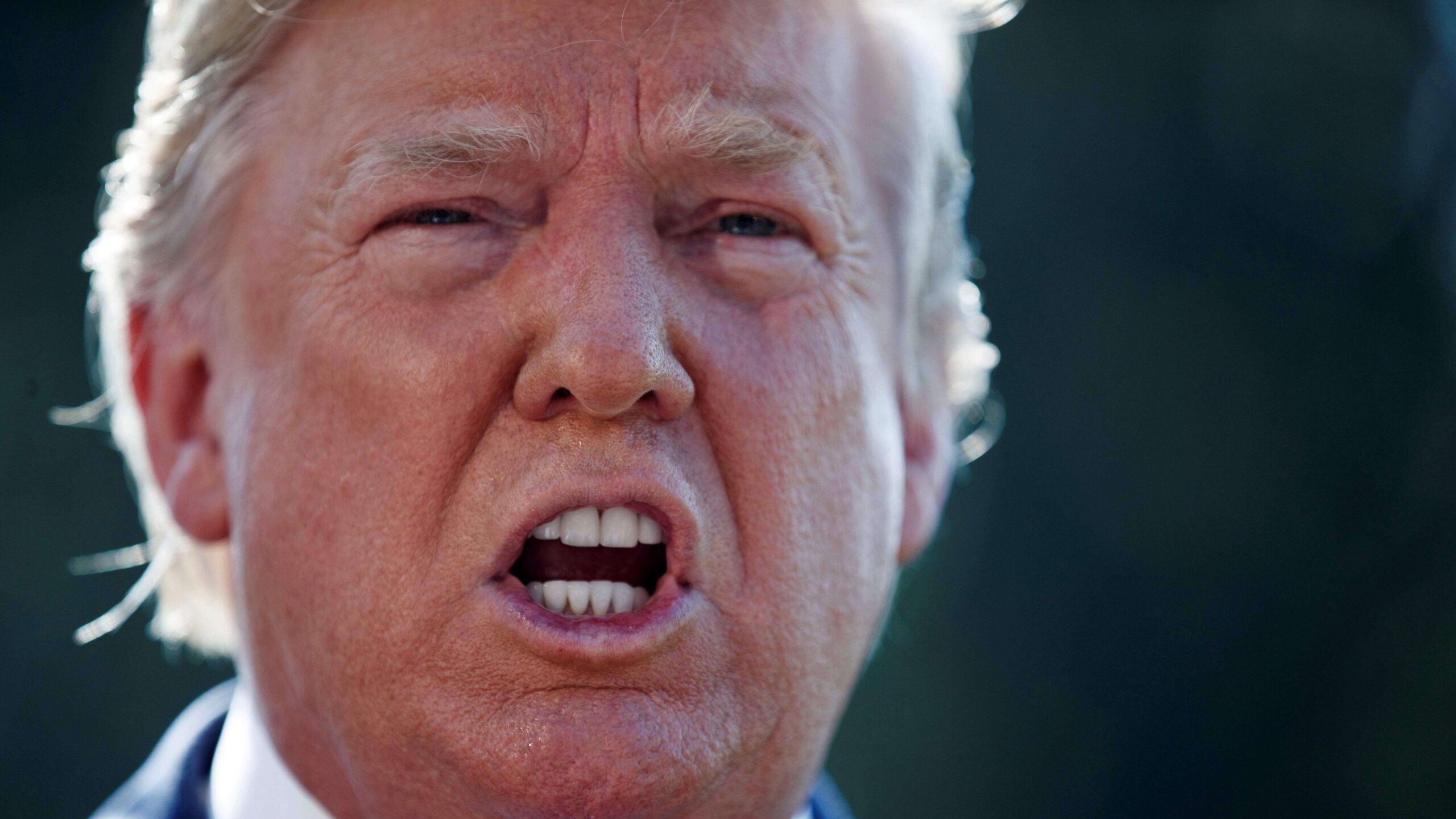 Trump está encantado con Bolsonaro