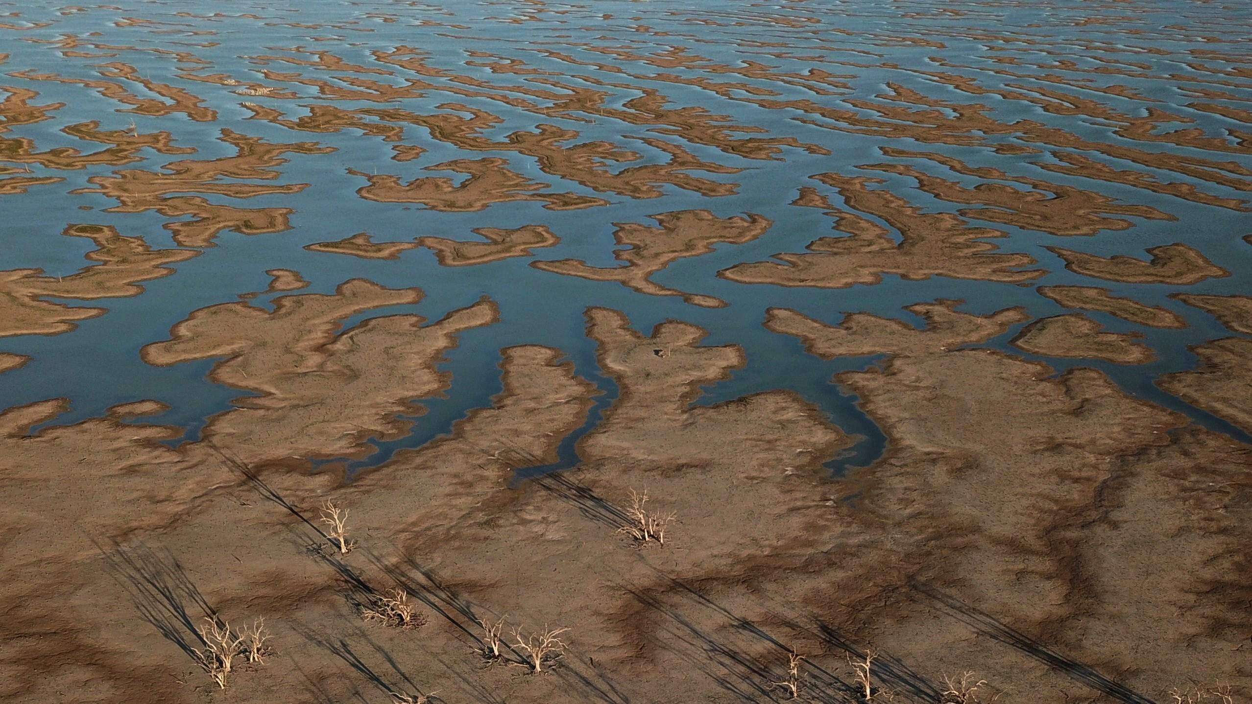 Seres humanos han causado un cambio ambiental antes